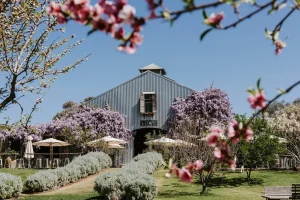 Lowe Wines Private Famil Series on Tinja Farm